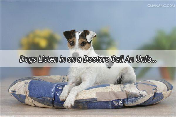 Dogs Listen in on a Doctors Call An Unforgettable Day of Curiosity and Laughter